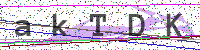 Sicherheitscode eingeben