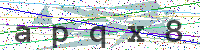 Sicherheitscode eingeben