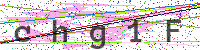 Sicherheitscode eingeben