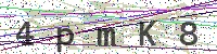 Enter Security Code
