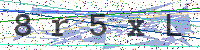 Enter Security Code