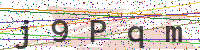Enter Security Code