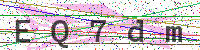 Enter Security Code