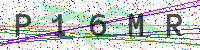 Enter Security Code