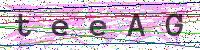 Enter Security Code