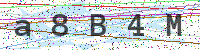 Sicherheitscode eingeben