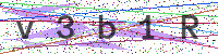 Enter Security Code