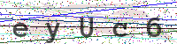 Enter Security Code