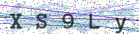 Enter Security Code