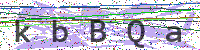 Enter Security Code
