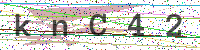 Enter Security Code