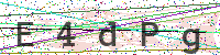 Enter Security Code