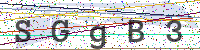 Sicherheitscode eingeben