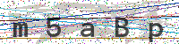 Enter Security Code