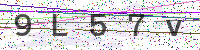 Enter Security Code