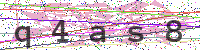 Enter Security Code