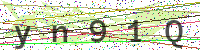 Enter Security Code
