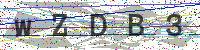 Enter Security Code
