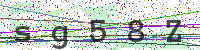 Enter Security Code