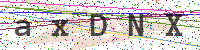 Enter Security Code