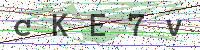 Enter Security Code
