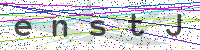 Enter Security Code