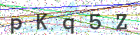 Sicherheitscode eingeben