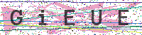 Enter Security Code