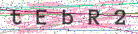 Enter Security Code