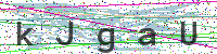 Enter Security Code