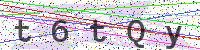Sicherheitscode eingeben