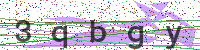 Enter Security Code