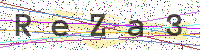 Enter Security Code