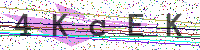 Enter Security Code