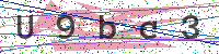 Enter Security Code