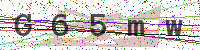 Enter Security Code