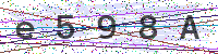 Enter Security Code