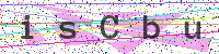 Enter Security Code