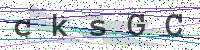 Enter Security Code