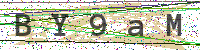 Enter Security Code