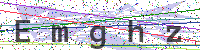 Enter Security Code