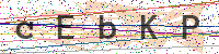 Sicherheitscode eingeben