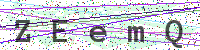 Enter Security Code