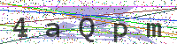 Sicherheitscode eingeben
