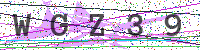 Enter Security Code