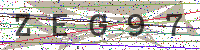 Enter Security Code