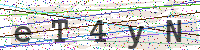 Sicherheitscode eingeben