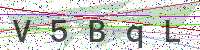 Enter Security Code
