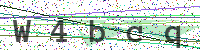 Enter Security Code