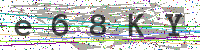Sicherheitscode eingeben